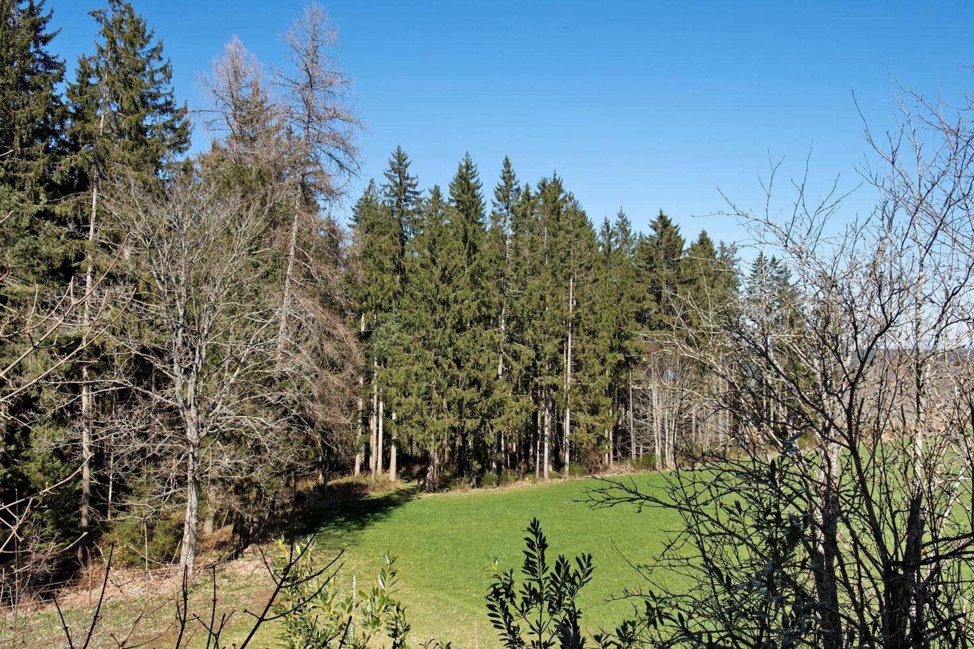 Ferienwohnung Schartenschmiede Sankt Georgen im Schwarzwald Exteriör bild